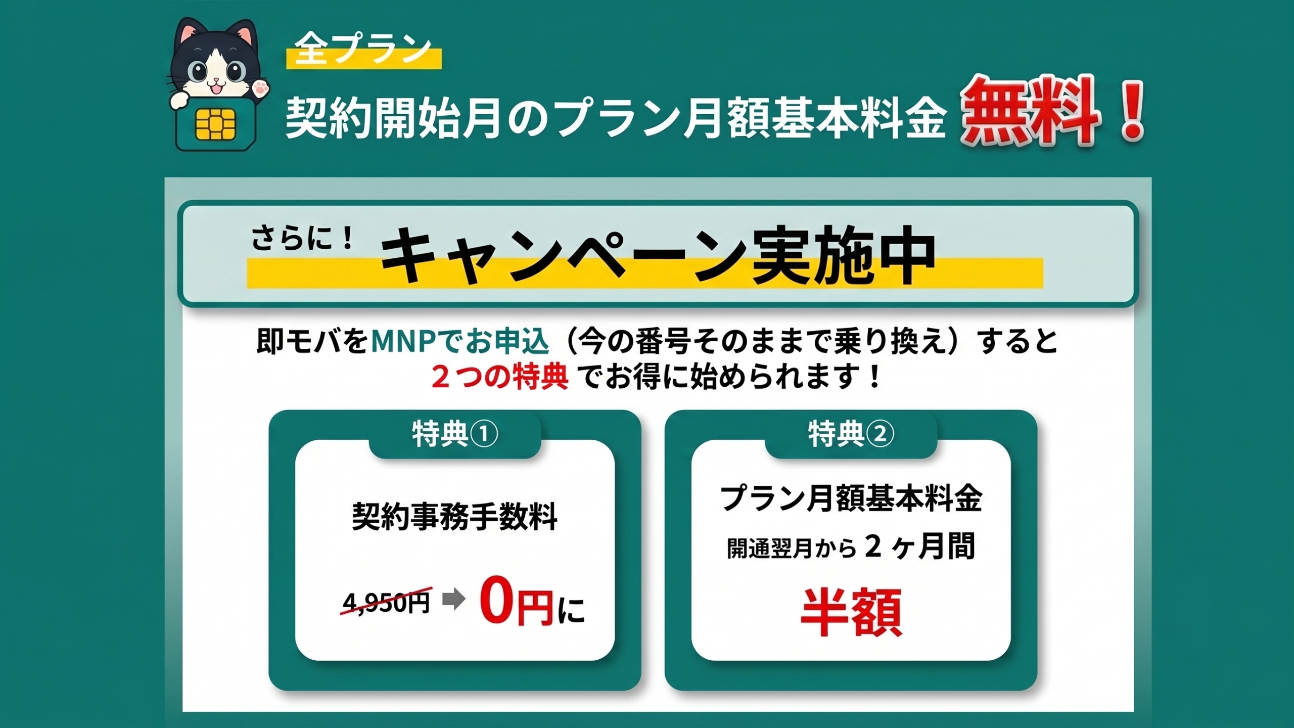 新規乗り換えキャンペーン：MNP で新規申込すると契約事務手数料 4,950円が0円に、プラン月額基本料金が開通翌月から2ヶ月間半額